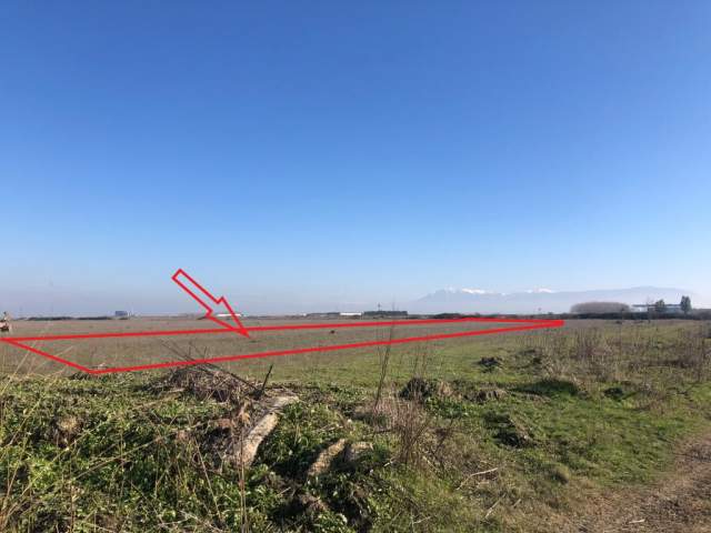Fier, Mbrostar Ura Shitet Toke Are 6.789 m², 15,000,000 Leke
