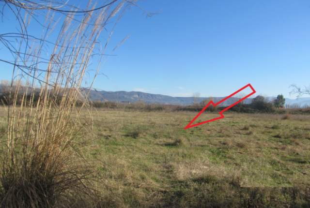 Lezhe, shitet Tokë Arë 3.000 m² 5.299.200 Leke (Ishull)