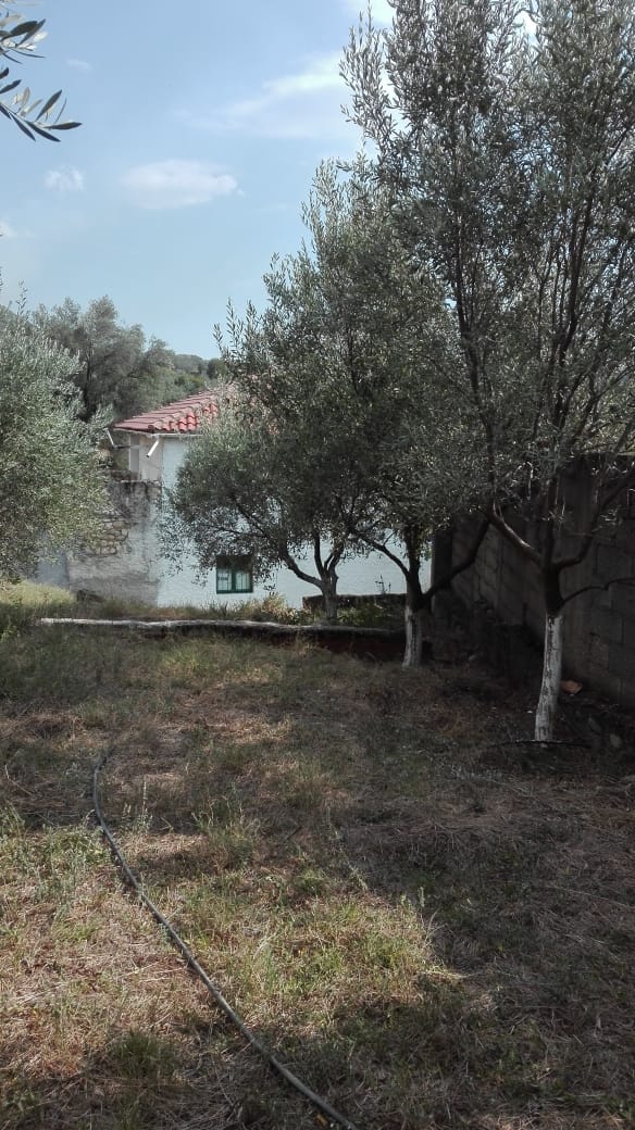 Tirane, shes shtepi 3+1+BLK Kati 2, 200 m² 63.000 Euro (Rruga Myslym Keta Tirane)