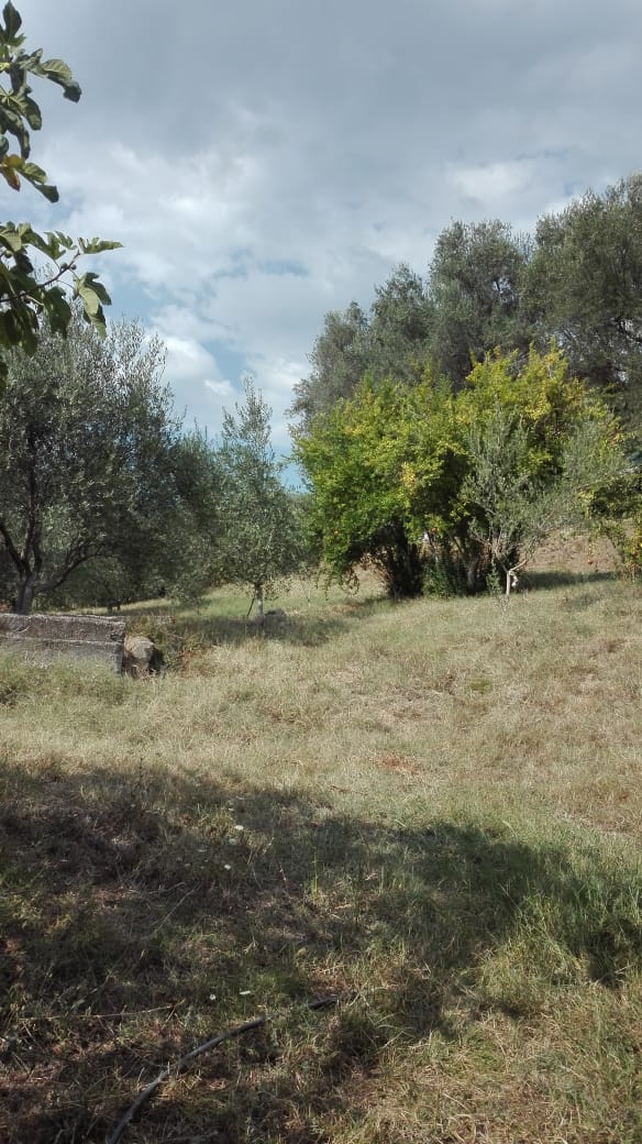 Tirane, shes shtepi 3+1+BLK Kati 2, 200 m² 63.000 Euro (Rruga Myslym Keta Tirane)
