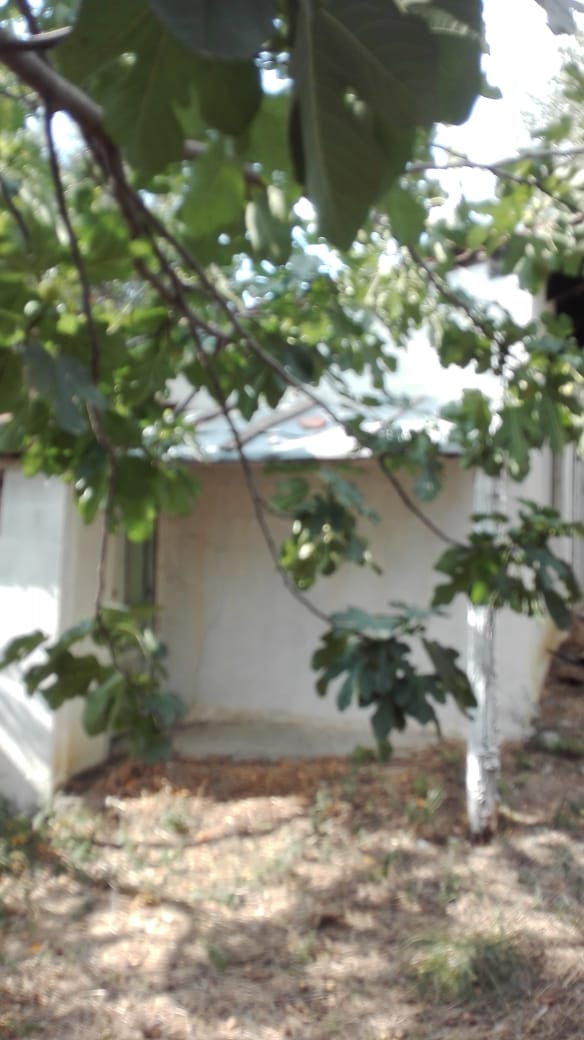 Tirane, shes shtepi 3+1+BLK Kati 2, 200 m² 63.000 Euro (Rruga Myslym Keta Tirane)