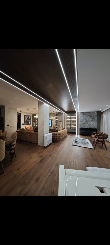 Tirane, jap me qera 3+1+Aneks+Ballkon Kati 0, 350 m² 4.001 € (TEG)