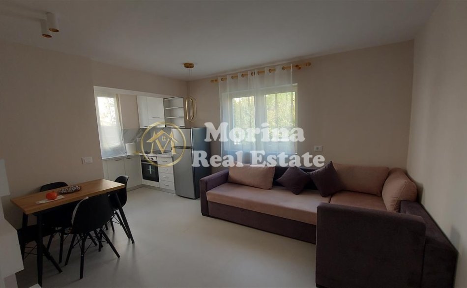 Tirane, jepet me qera apartament 2+1 Kati 1, 65 m² 600 € (Vasil Shanto)
