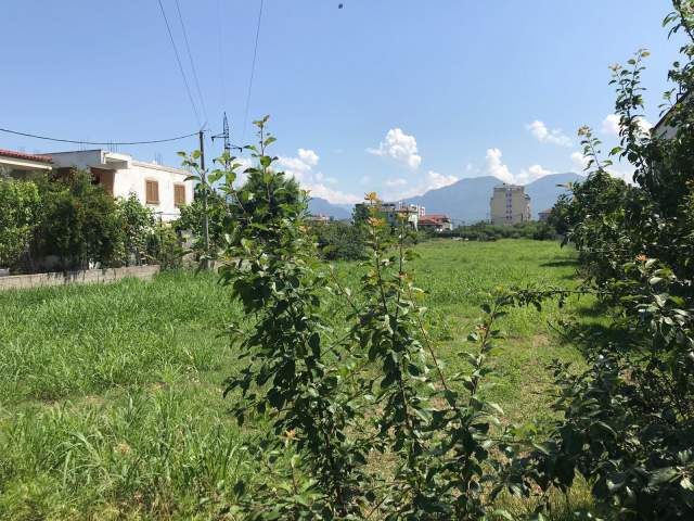 Tirane, ofert truall 1.000 m² 82.000 Euro (Rruga Liria Kamez)
