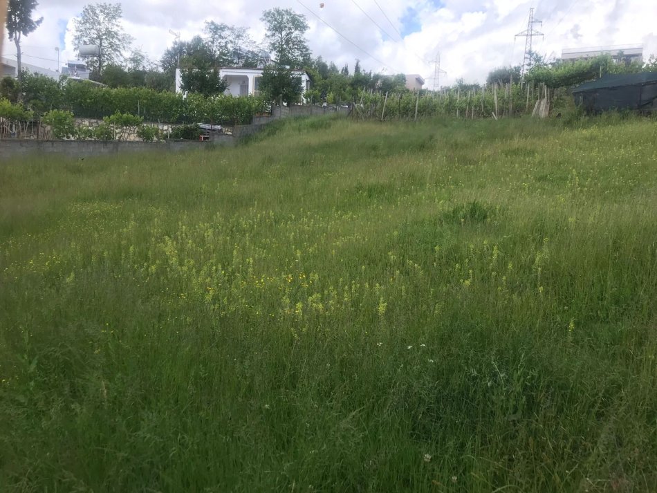 Durres, shes toke , 750 m² 55.000 € (në Shkozet Durres.)