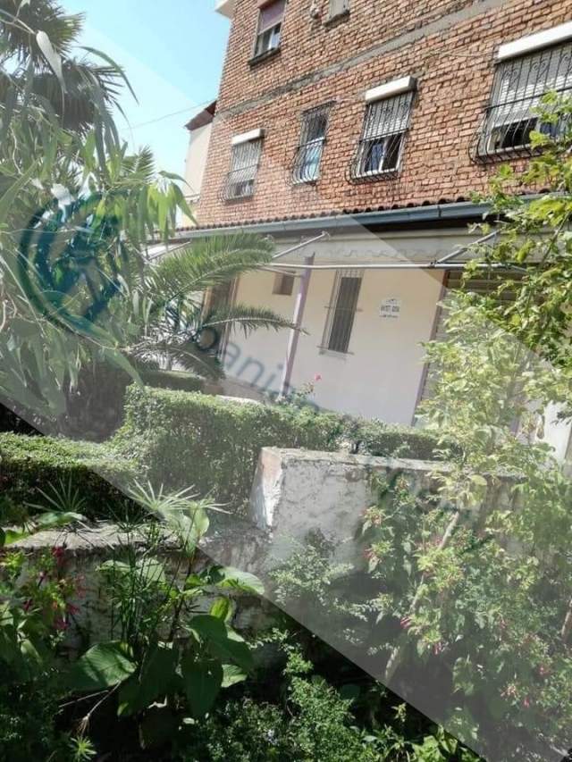Elbasan, shitet lokal Kati 1, 68 m² 55.000 Euro