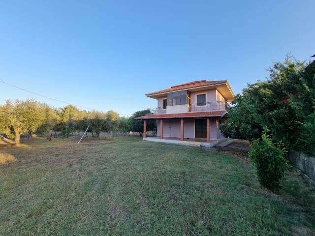 Spille, shitet Vile 2 Katshe Kati 1, 6.197 m² 250.000 Euro (Vile-Ballaj)