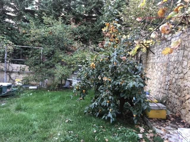 Tirane, shitet Vile 640 m² 230.000 Euro (SURREL)