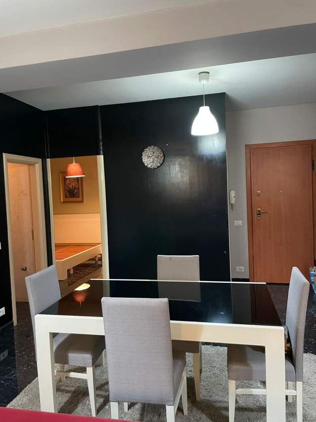 Apartament me qera 1+1, Zogu i Zi