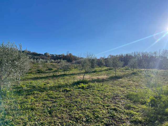 Tirane, shitet 2.100 m² 100.000 Euro (Rruga Teg-Daias)