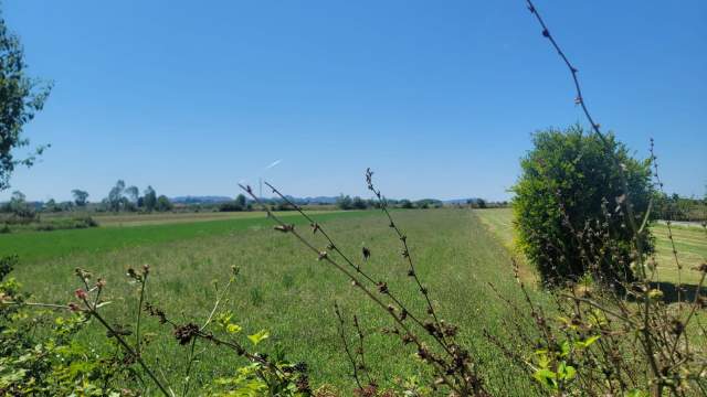 Durres, shes toke 4.000 m² 20 Euro/m2 (tek 4 rruget e fllakes)