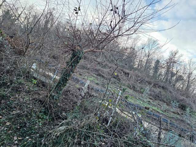 Tirane, shes toke 4.000 m² 190.000 Euro prane Pishina Tagan