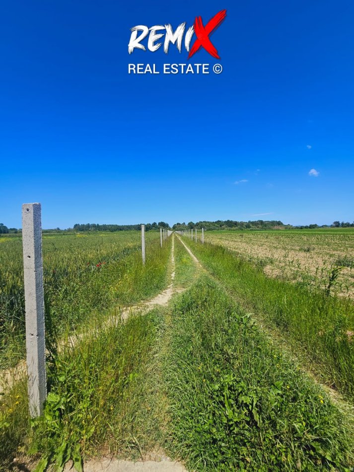 Gjiri Lalezit | Hamallaj, shitet toke bujqesore , 12.000 m² 85.000 € 
