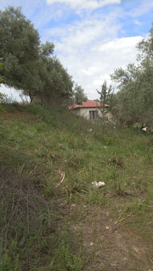 Lushnje Divjake, jepet me qera shtepi 2+1 Kati 1, 100 m² 150 €