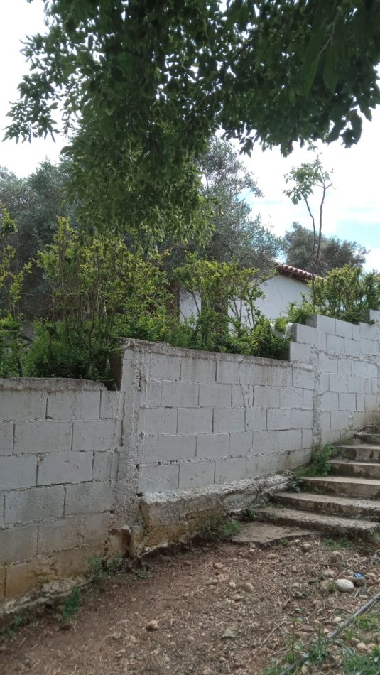 Lushnje Divjake, jepet me qera shtepi 2+1 Kati 1, 100 m² 150 €