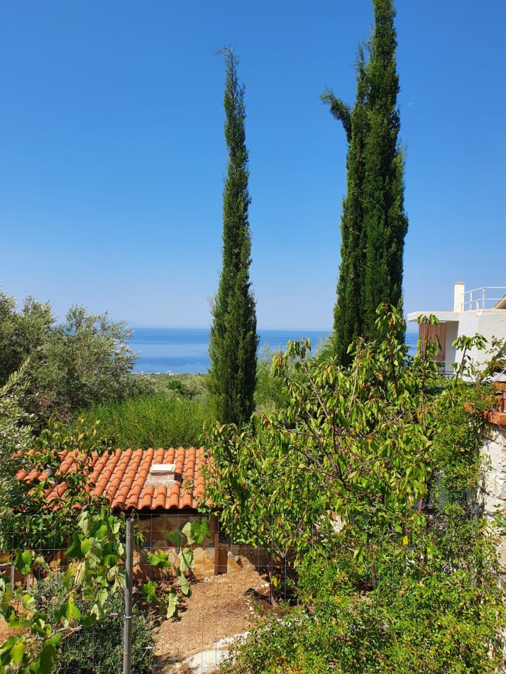 Vlore, shitet Vile ne plazh 5+1 Kati 2, 1.920 m² 700.000 € (Borsh, Himare)