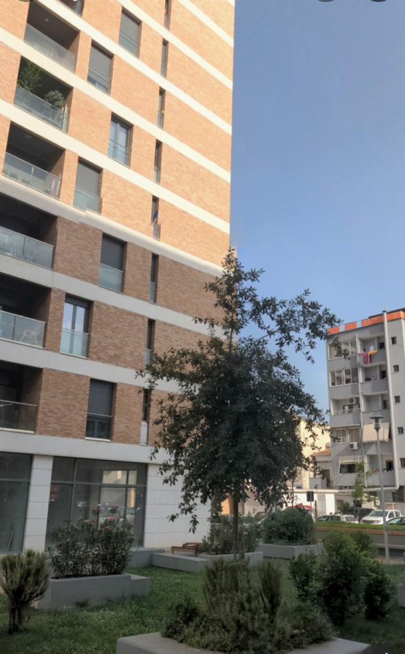 Tirane, jepet me qera ambjent biznesi Kati 0, 25 m² 200 € (Rruga Gazmend Zajmi)