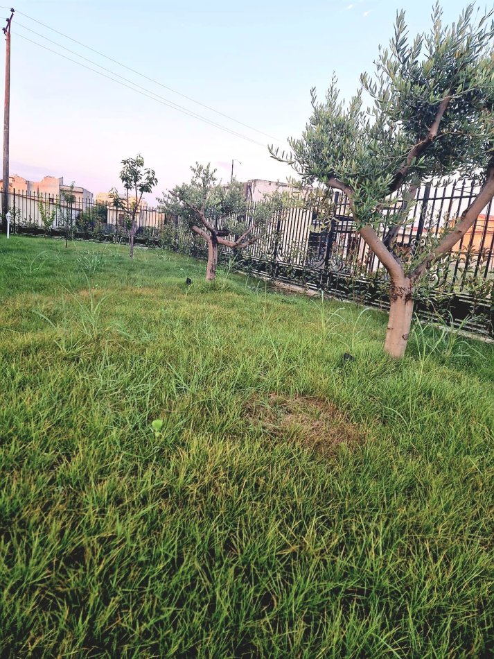 Kavaje, shitet Vile 3+1 Kati 1, 800 m² 315.000 € (Rruga Shëngjergj,Kavaje)