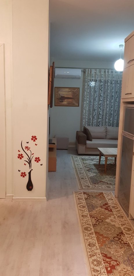 Tirane, jepet me qera apartament 1+1+Ballkon Kati 2, 75 m² 500 € (frosina plaku)