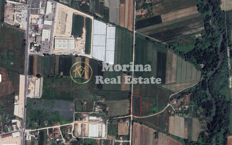 Tirane, shitet toke bujqesore , 6.000 m² 180.000 € (Fushe Preze/Vore)