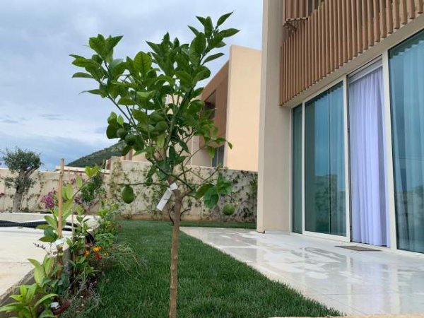 Trinity Green Coast Vila available for holiday rent, Dhermi, Palase, 350€ / per night
