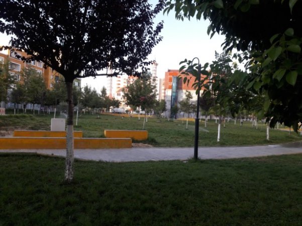 Në Parkun Qendror të Fierit, shtëpia shitet për biznes