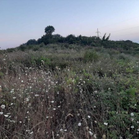 Kavaje, shes truall 3.800 m² 40.000 Euro (Kodrat e Golemit Kavaje)