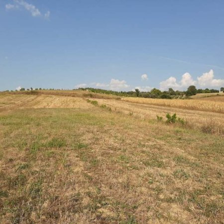 Kavaje, shes toke bujqesore 6.500 m² 110.500 Euro (Golem Kavaje)