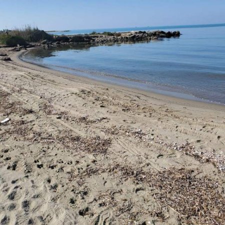 Kavaje, shes truall 1.000 m² 72.000 Euro (Ndodhet ne Karpen ,Qerret te Kavajes)