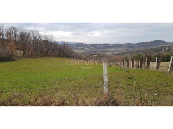 Tirane, shes toke 4.000 m² 200.000 Euro (Barbas)