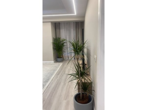Tirane, jepet me qera apartament 1+1 Kati 1, 76 m² 600 € (kodra e djellit)