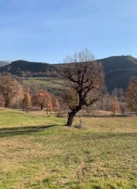 Tirane, shes truall 500 m² 40 Euro/m2 (TUFINE)