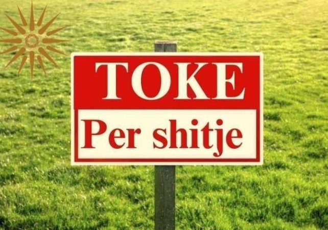 kerkoj-toke-per-penele-diellore.jpeg