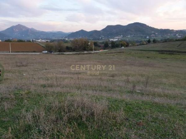 Tirane, shes toke 6.000 m² 318.000 Euro (Picalle)