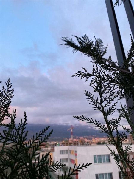 Tirane, jepet me qera apartament 1+1+Ballkon Kati 3, 85 m² 400 € (Ne fund te 5 Majit , Pallatet e reja)