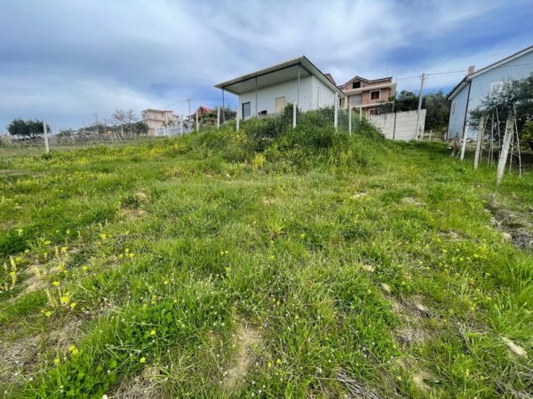 Durres, shitet toke bujqesore , 2.000 m² 130.000 € (Manez)