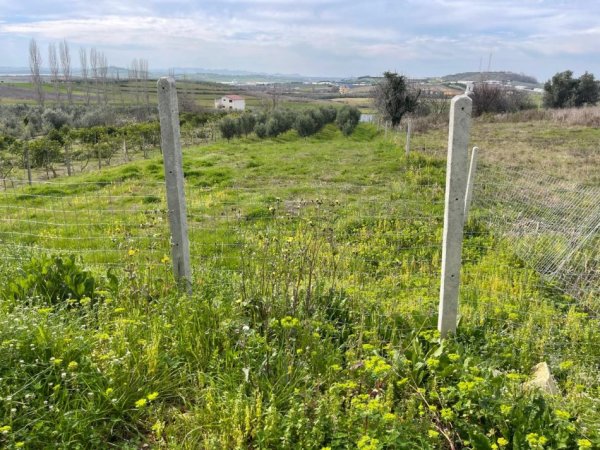 Durres, shitet toke bujqesore , 2.000 m² 130.000 € (Manez)