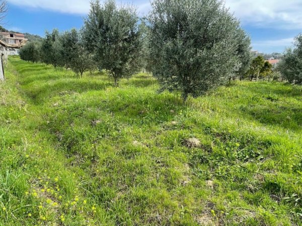 Durres, shitet toke bujqesore , 2.000 m² 130.000 € (Manez)