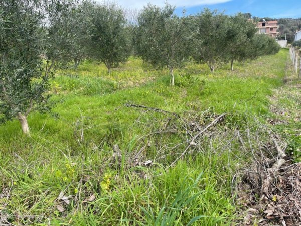 Durres, shitet toke bujqesore , 2.000 m² 130.000 € (Manez)