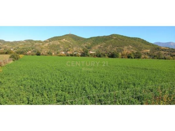 Tirane, shes toke 11.500 m² 517.500 Euro (Petrele)