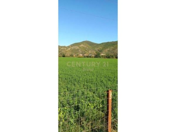 Tirane, shes toke 11.500 m² 517.500 Euro (Petrele)