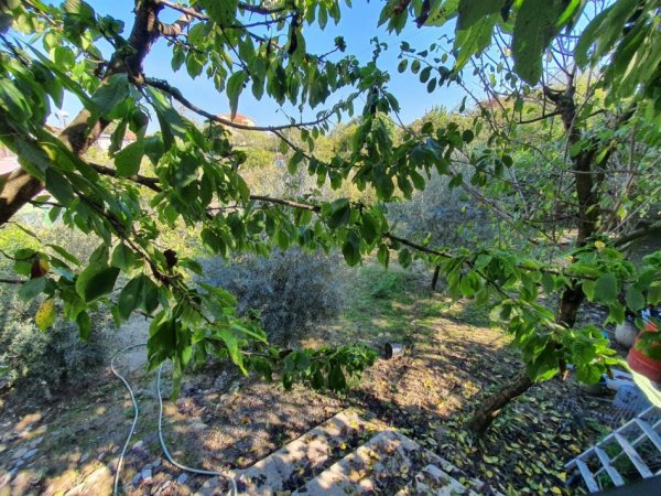 Tirane, shitet Vile 3 Katshe , 350.000 € 