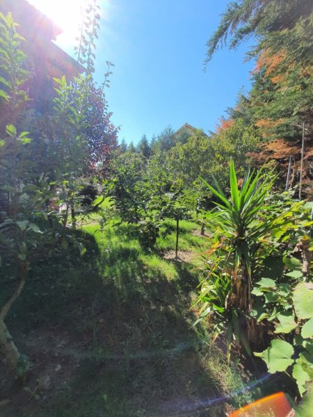 Tirane, shitet Vile 3 Katshe , 350.000 € 