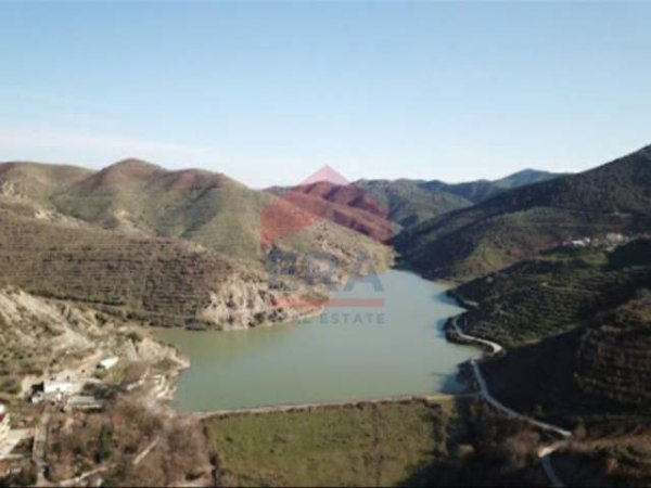 Tirane, shes toke 9.000 m² Euro (Peze)