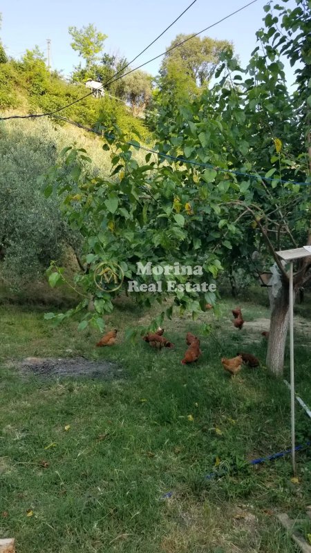 Tirane, jepet me qera shtepi 2+1 Kati 1, 120 m² 600 € (Fshati Picall)