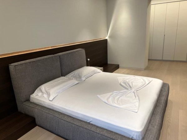 Tirane, shitet apartament duplex Dublex Kati 10, 356 m² 850.000 € (Rruga Kavajes)