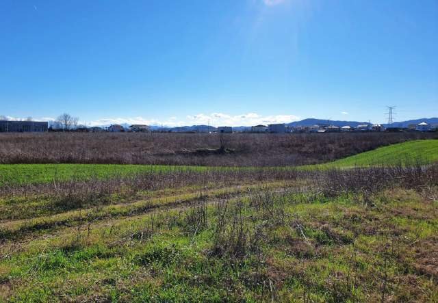 Tirane, shes toke 5.000 m² 250.000 Euro
