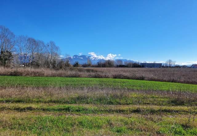 Tirane, shes toke 5.000 m² 250.000 Euro