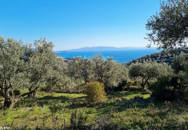 SHITET NDËRTESË + TOKË ULLISHTE NË FSHATIN PIQERAS, HIMARË, 3.000 m² 430.000 Euro (Sarande)