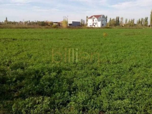 Lezhe, shes toke tek LAGUNA E PATOKUT 12.500 m², 125.000 Euro
